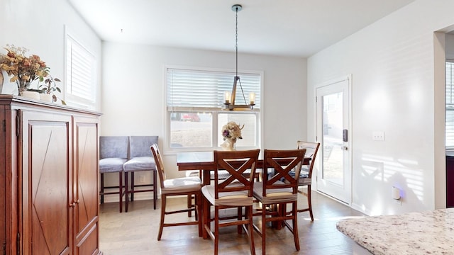 dining area featuring plenty of natural light and wood finished floors