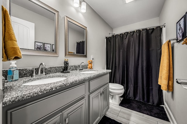 full bath featuring double vanity, toilet, and a sink