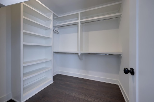 spacious closet with dark wood-style floors