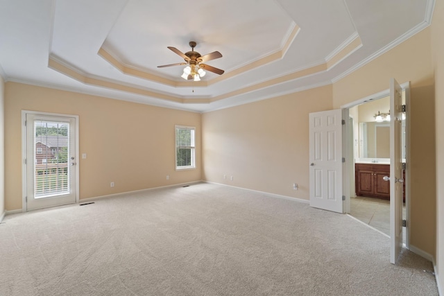 spare room featuring crown molding, baseboards, a raised ceiling, and light colored carpet