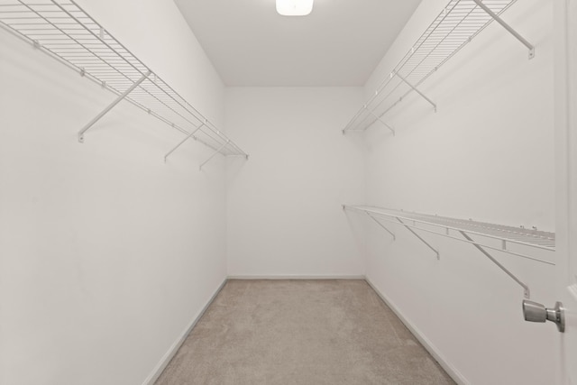 walk in closet featuring light colored carpet