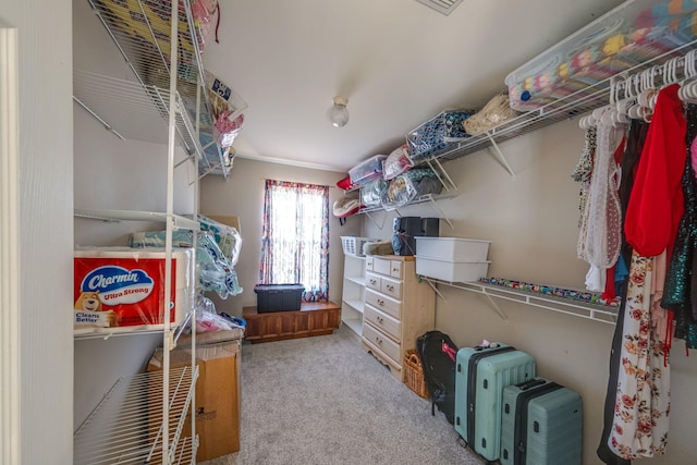 spacious closet with carpet