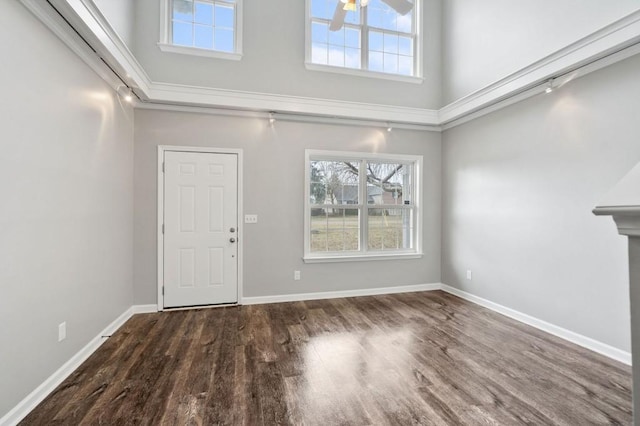 foyer entrance featuring dark wood-style flooring, plenty of natural light, a towering ceiling, and baseboards