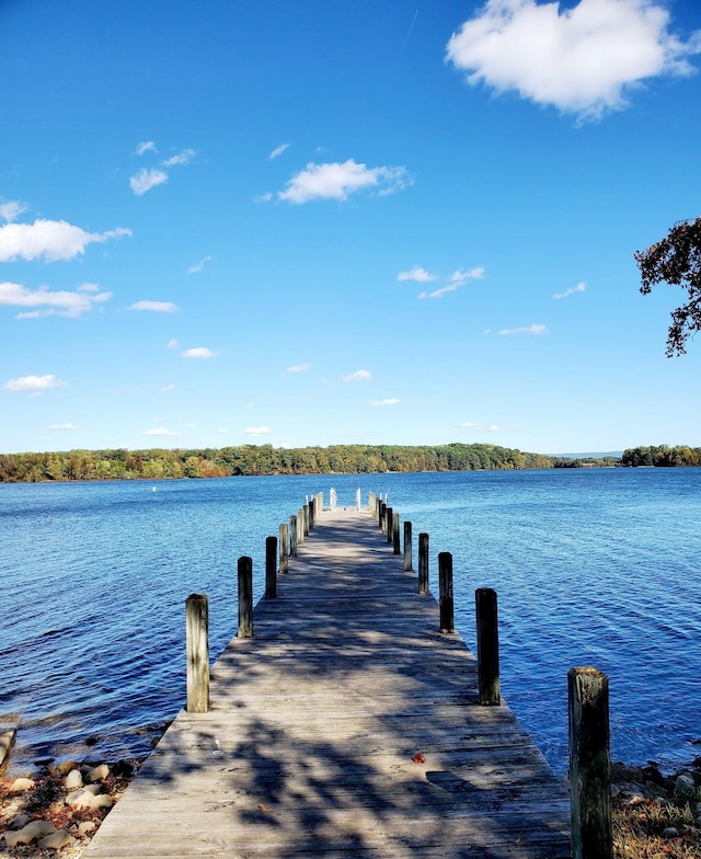 view of dock featuring a water view