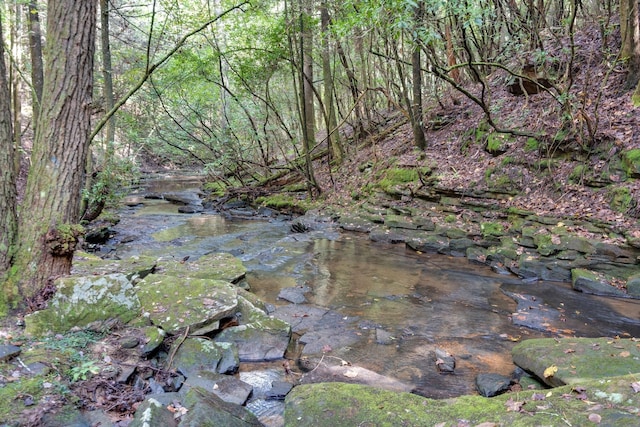 view of local wilderness