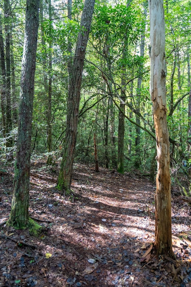 view of landscape featuring a view of trees