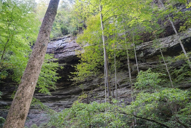 view of local wilderness with a forest view