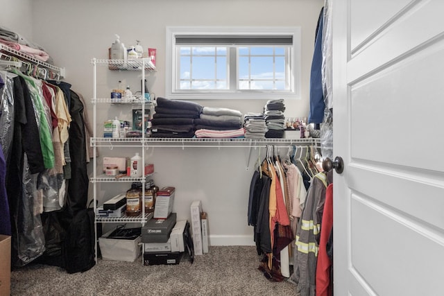 spacious closet with carpet floors