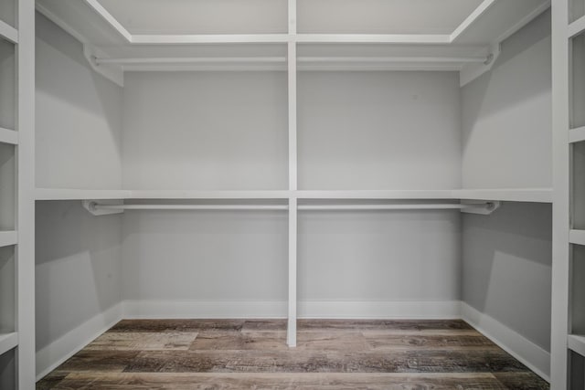 spacious closet with dark wood-style flooring