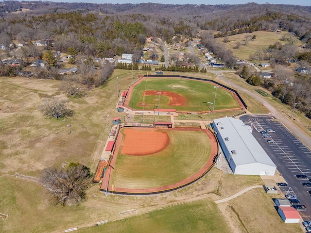 bird's eye view