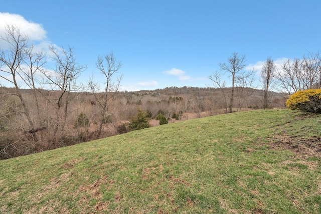 view of yard featuring a rural view