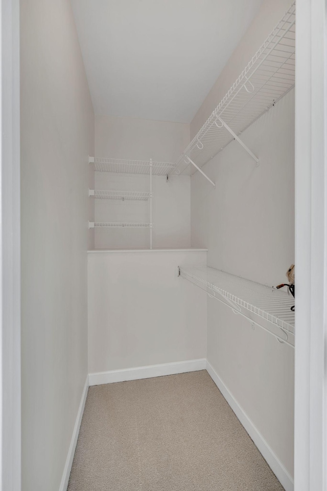 walk in closet featuring carpet floors