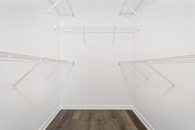 spacious closet featuring dark wood-style flooring