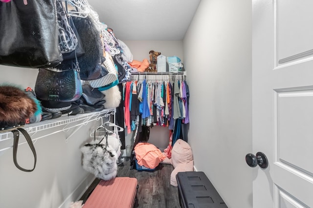 spacious closet featuring wood finished floors