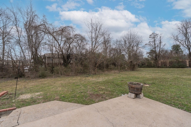 view of yard featuring a patio area