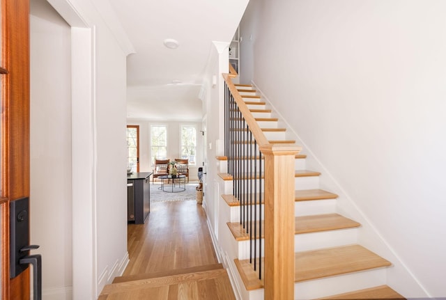 staircase featuring wood finished floors