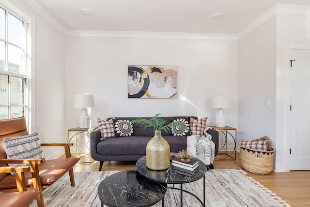 living room featuring baseboards, ornamental molding, and wood finished floors