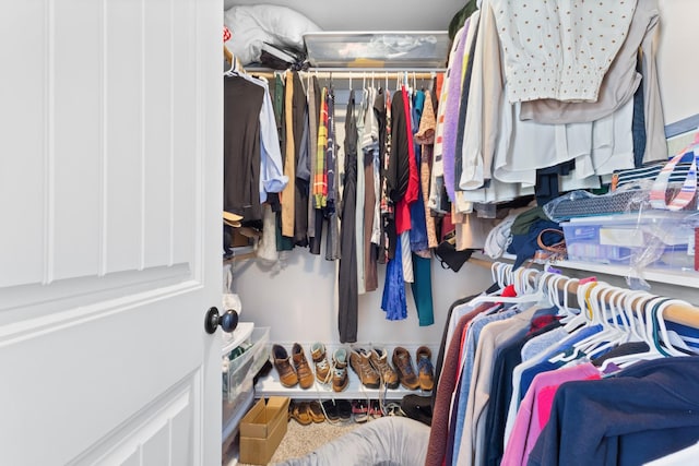 view of spacious closet