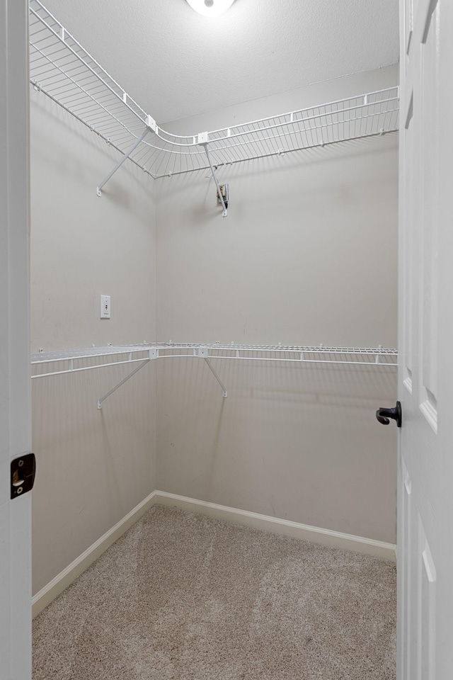 spacious closet featuring carpet floors