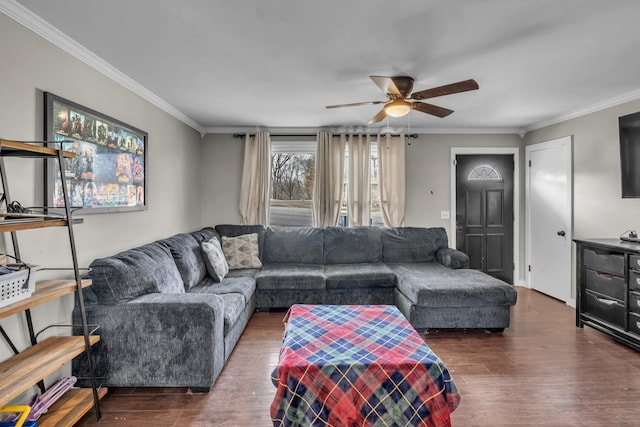 living area featuring a ceiling fan, dark wood finished floors, and crown molding