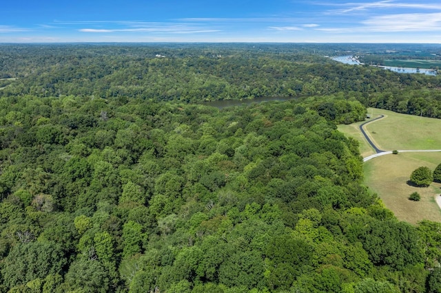 drone / aerial view with a water view and a forest view