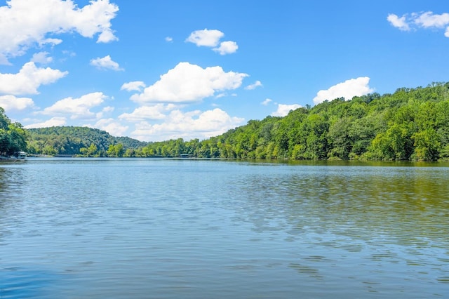 water view with a forest view