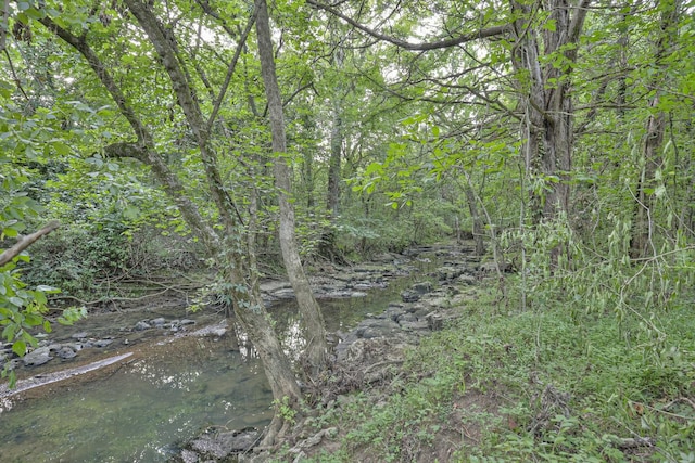 view of nature with a wooded view