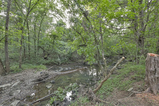 view of landscape featuring a wooded view