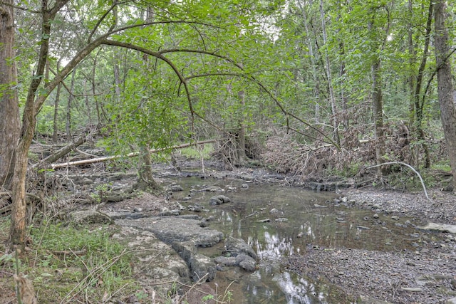 view of landscape with a view of trees