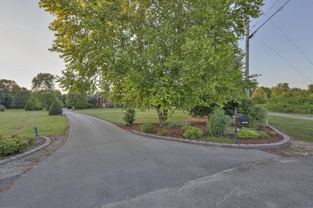 view of road with curbs