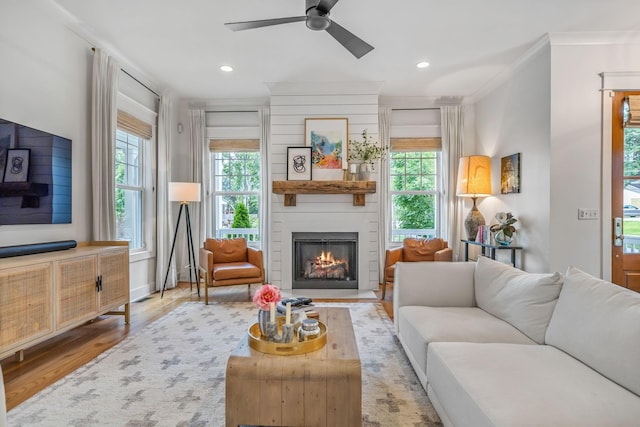 living area featuring a large fireplace, a healthy amount of sunlight, crown molding, and light wood finished floors