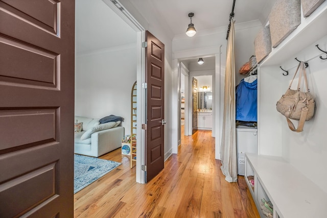 mudroom featuring crown molding and light wood-style flooring