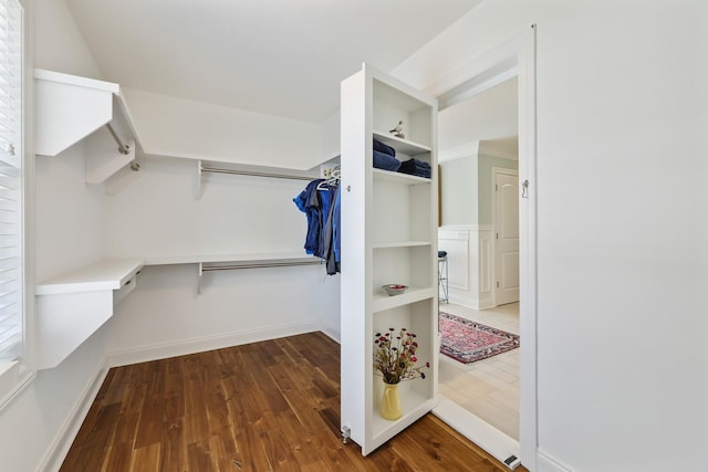 spacious closet featuring wood finished floors