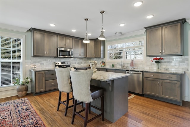 kitchen with a wealth of natural light, stainless steel appliances, and wood finished floors