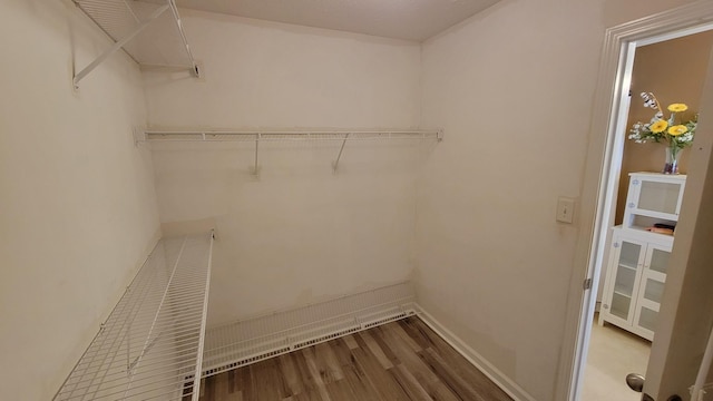 spacious closet with wood finished floors