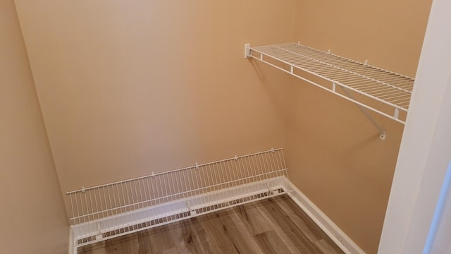 walk in closet featuring wood finished floors