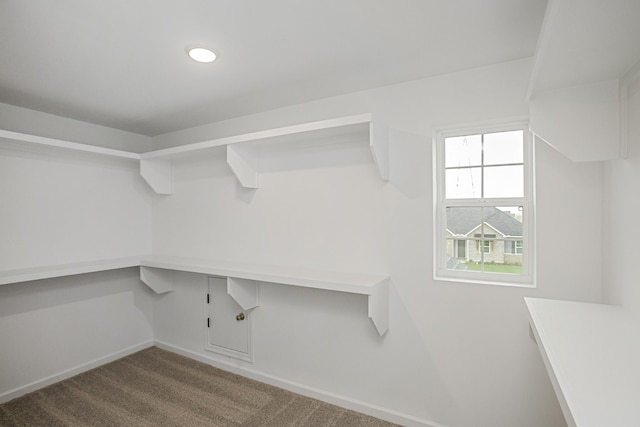 spacious closet featuring carpet floors and built in study area