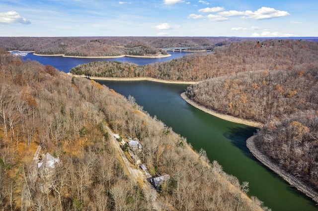 birds eye view of property with a water view and a view of trees