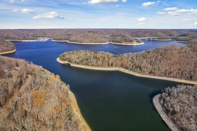 drone / aerial view featuring a water view and a view of trees