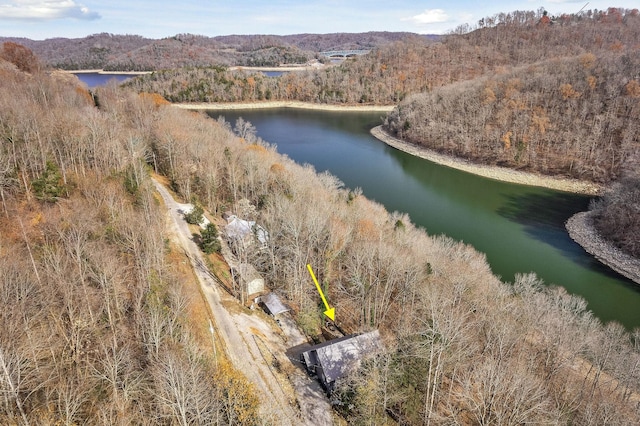 aerial view with a water view and a view of trees