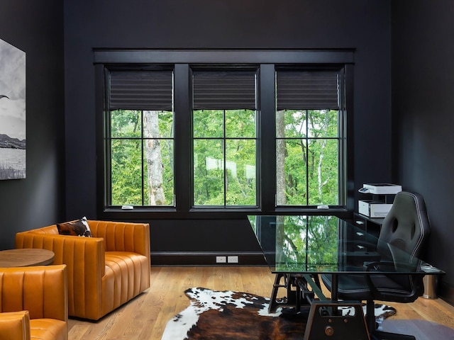 living area featuring wood finished floors