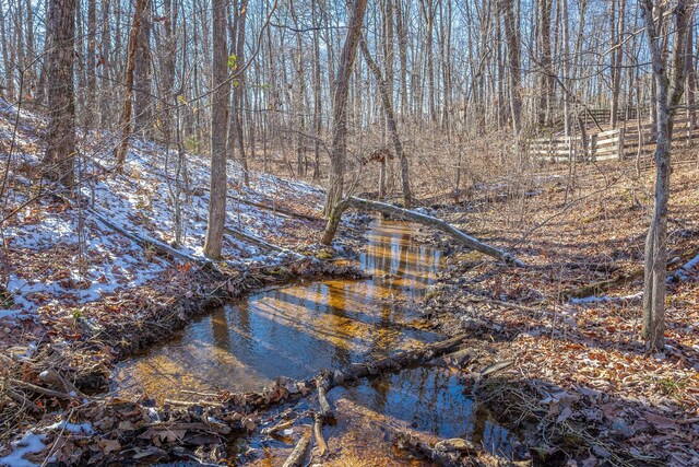 view of local wilderness