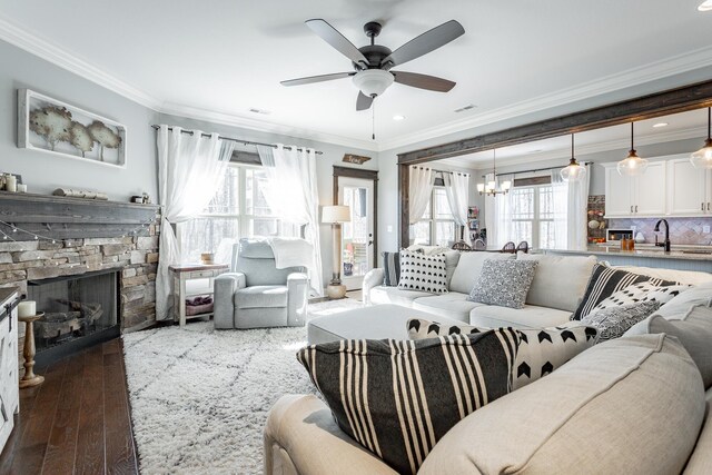 living room featuring ceiling fan with notable chandelier, dark wood-type flooring, a fireplace, visible vents, and ornamental molding