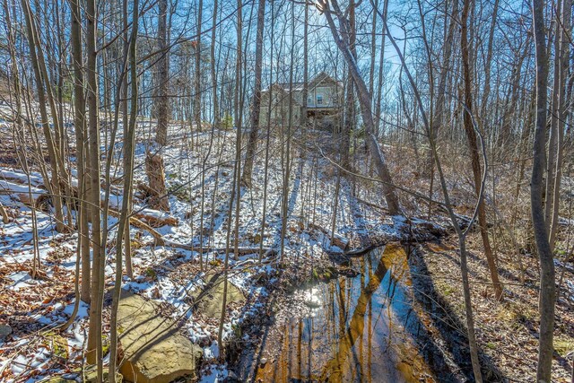 view of snowy landscape