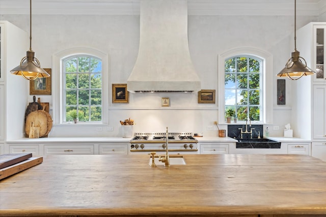 workout area featuring crown molding, a healthy amount of sunlight, and a sink