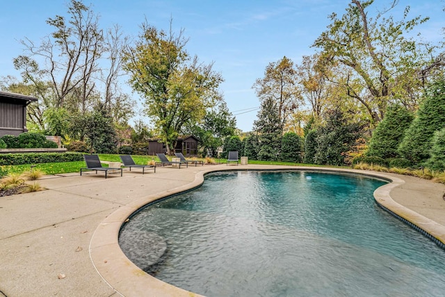 pool featuring a patio area