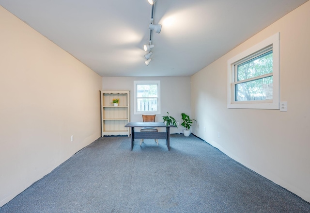 unfurnished office featuring carpet and rail lighting