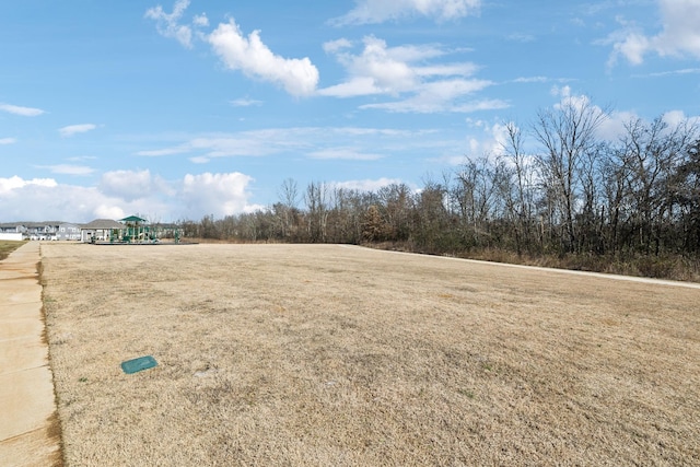 view of yard with playground community