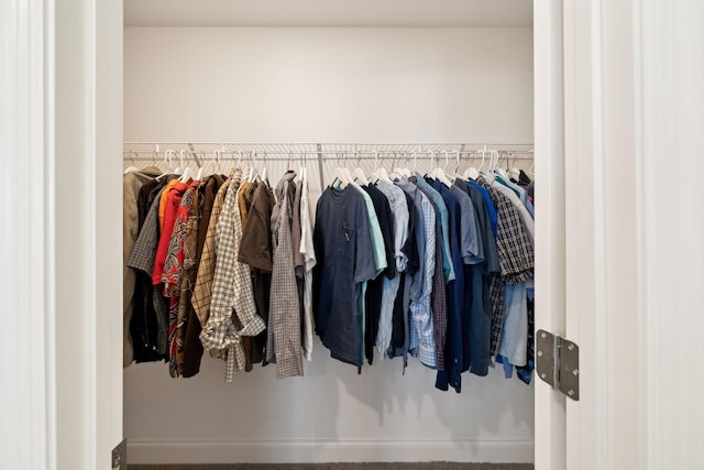 view of closet