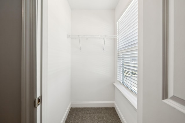 walk in closet featuring carpet